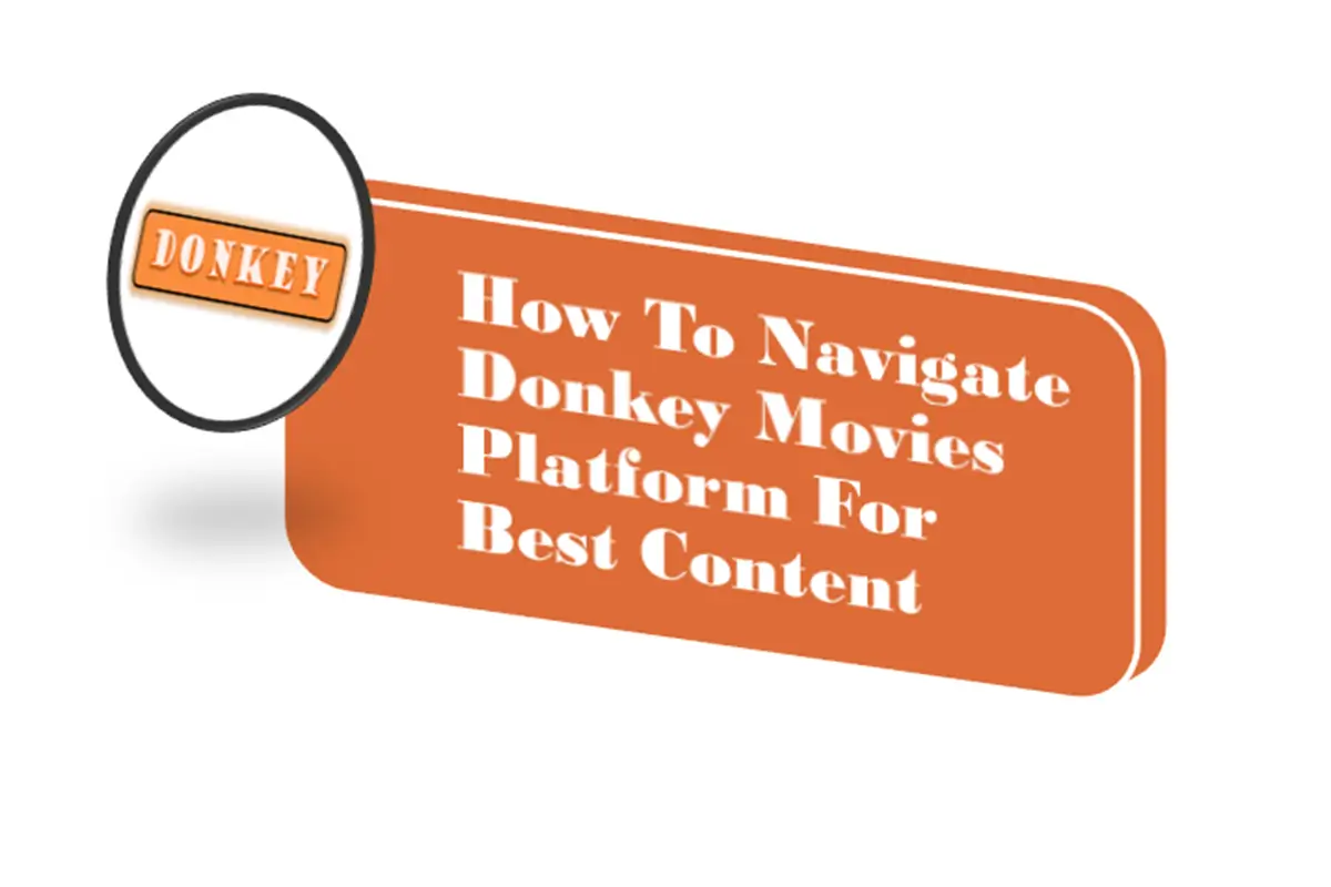 How To Navigate Donkey Movies Platform For Best Content