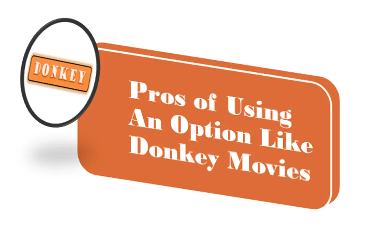 Pros of Using An Option Like Donkey Movies